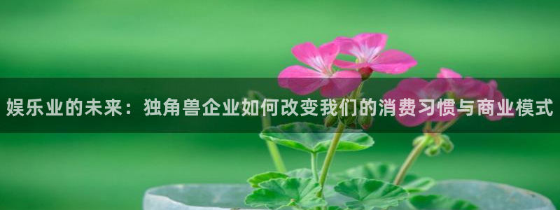 摩根娱乐：娱乐业的未来：独角兽企业如何改变我们的消费习惯与商业模式