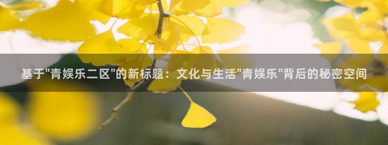摩根娱乐：基于\