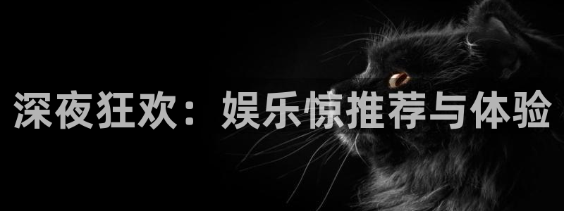 摩根娱乐：深夜狂欢：娱乐惊推荐与体验