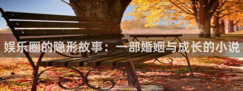 摩根娱乐：娱乐圈的隐形故事：一部婚姻与成长的小说