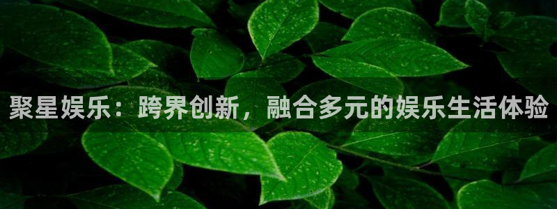 摩根娱乐：聚星娱乐：跨界创新，融合多元的娱乐生活体验